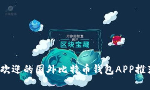 2023年最受欢迎的国外比特币钱包APP推荐与使用指南