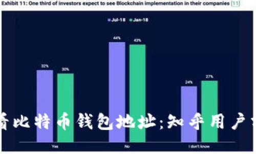 如何查看比特币钱包地址：知乎用户分享指南