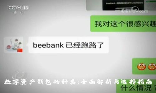 数字资产钱包的种类：全面解析与选择指南