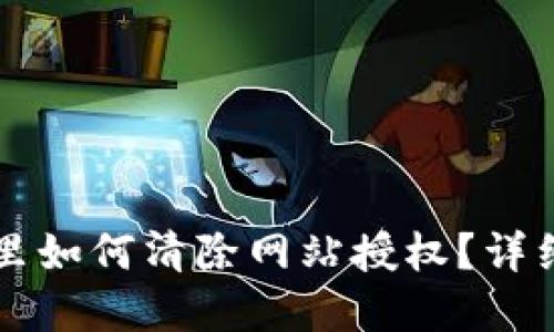 tpWallet里如何清除网站授权？详细操作指南