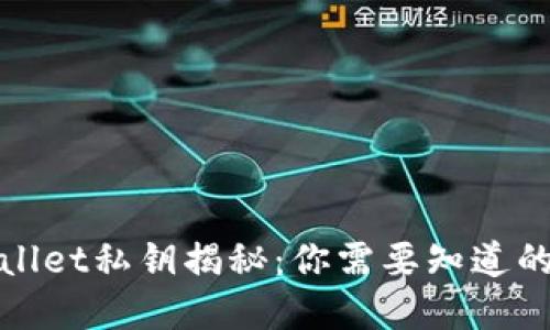 tpWallet私钥揭秘：你需要知道的一切