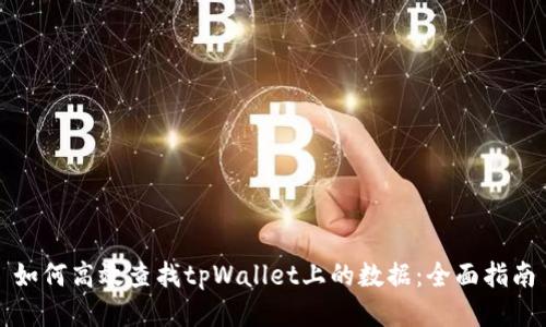 如何高效查找tpWallet上的数据：全面指南