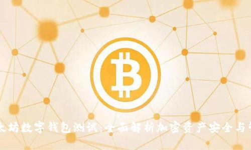 以太坊数字钱包测试：全面解析加密资产安全与管理