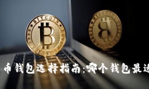 数字货币钱包选择指南：哪个钱包最适合您？
