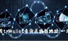 如何使用tpWallet查询区块链