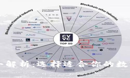 区块链钱包大小解析：选择适合你的数字资产管理工具