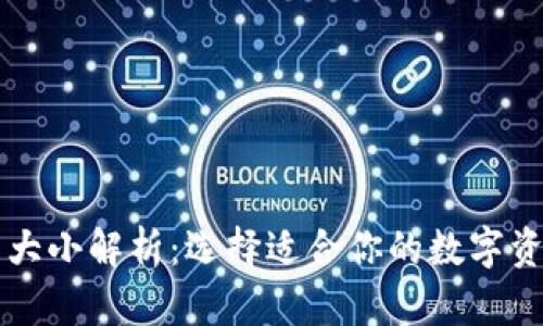 区块链钱包大小解析：选择适合你的数字资产管理工具