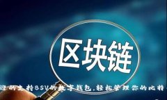 最受欢迎的支持BSV的数字
