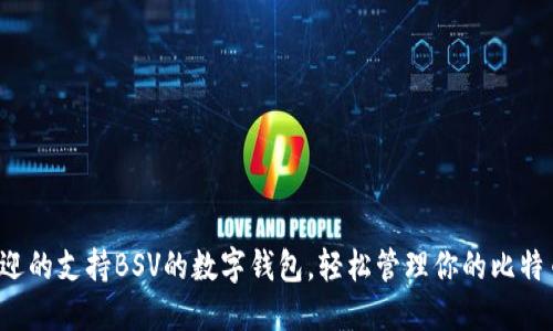 最受欢迎的支持BSV的数字钱包，轻松管理你的比特币现金！