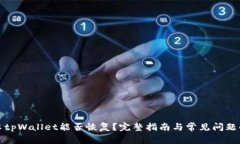 安卓tpWallet能否恢复？完整