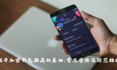 揭开加密钱包骗局的真相