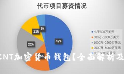 什么是DCNT加密货币钱包？全面解析及使用指南