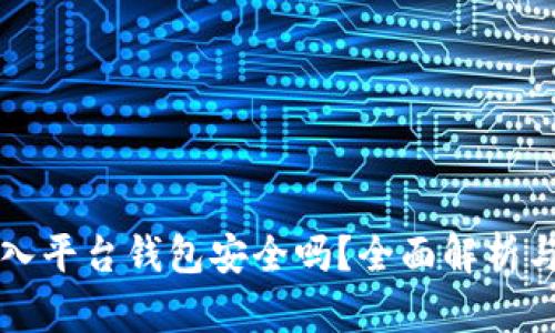 虚拟币放入平台钱包安全吗？全面解析与投资建议