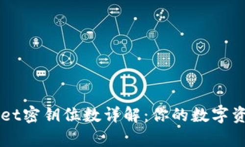 ### tpWallet密钥位数详解：你的数字资产安全第一步