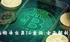 如何进行比特币交易ID查询：全面解析与实用指南