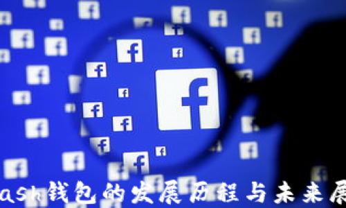 
Kcash钱包的发展历程与未来展望