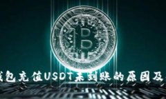 解析TP钱包充值USDT未到账的原因及解决方案
