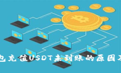 解析TP钱包充值USDT未到账的原因及解决方案