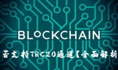 : TP钱包是否支持TRC20通道？全面解析与使用指南