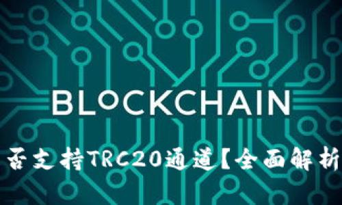 : TP钱包是否支持TRC20通道？全面解析与使用指南